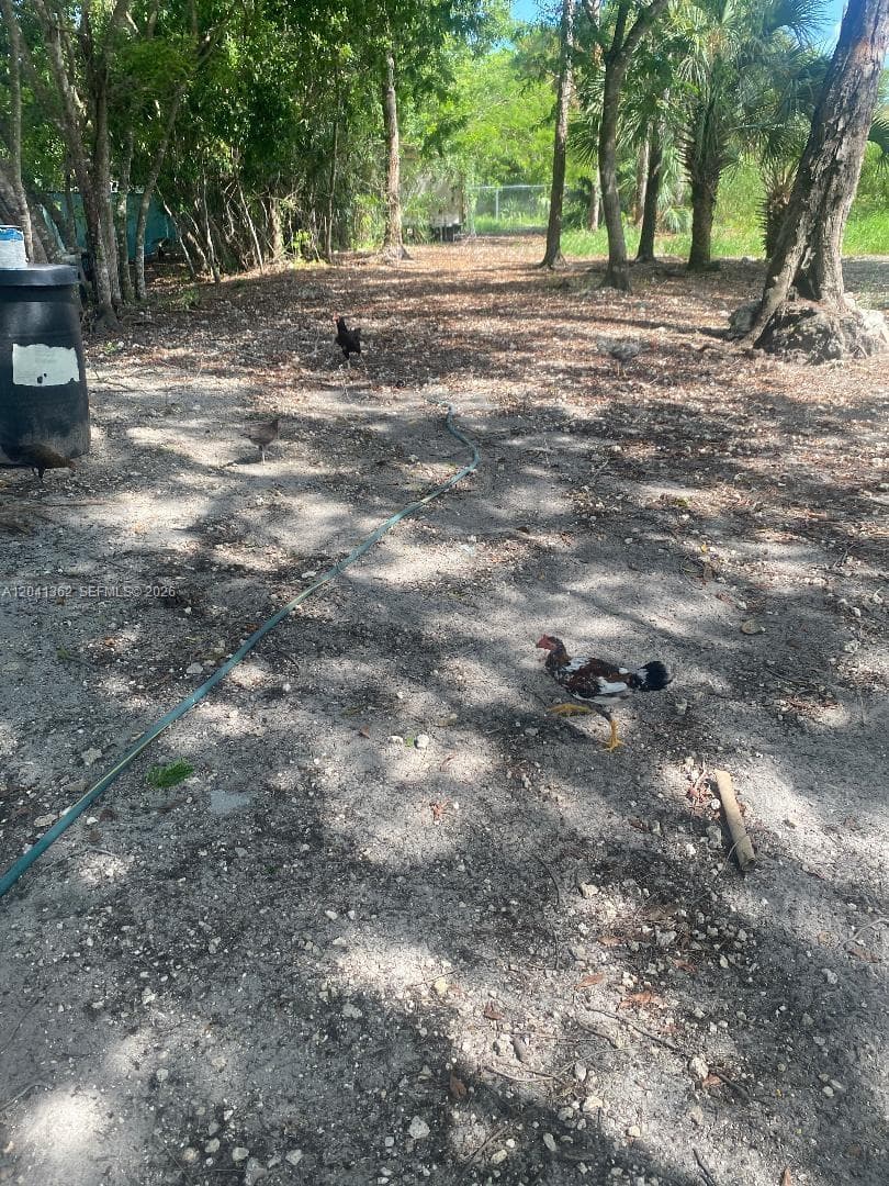 23625 SW 125 AV, Homestead, FL 33032 photo 3
