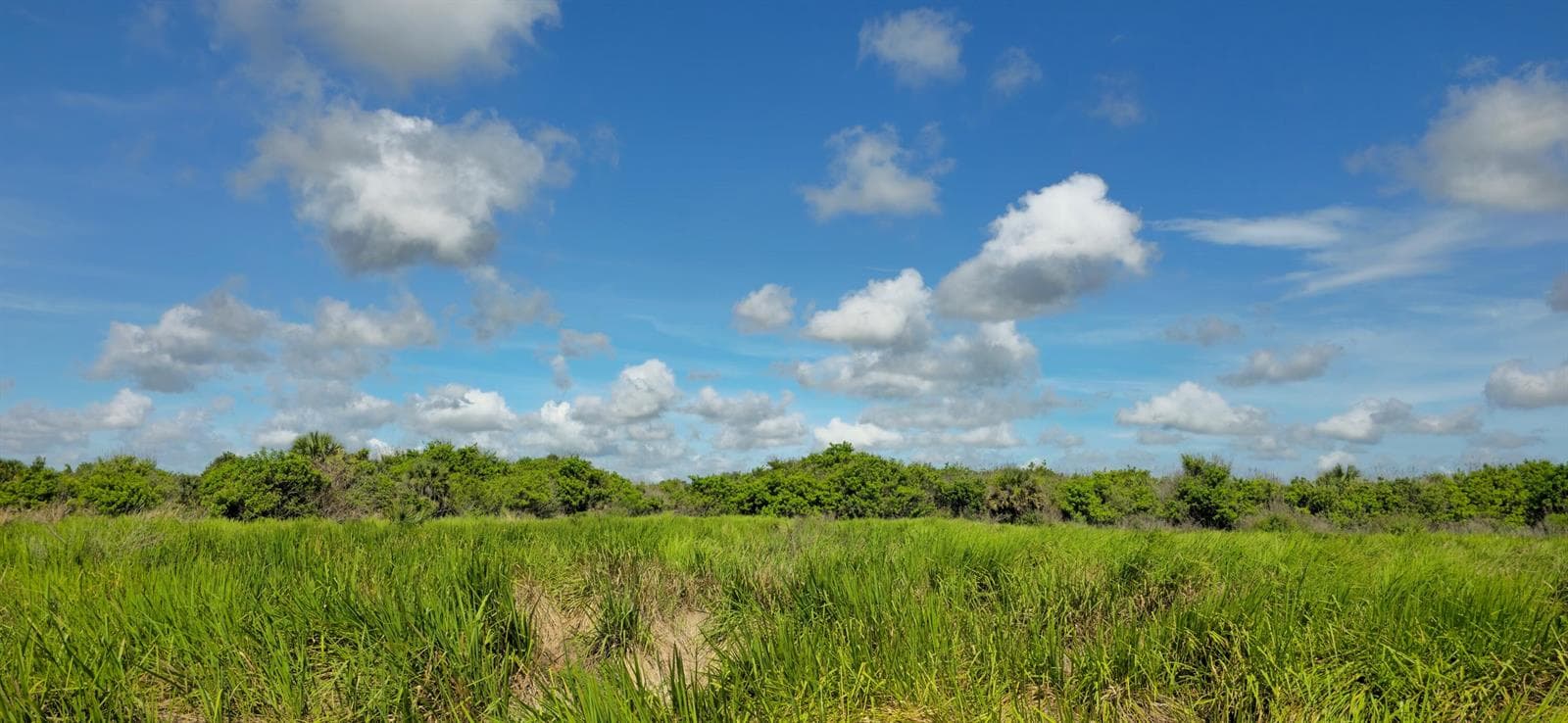 Tbd 13th Street SW, Vero Beach, FL 32968 photo 5
