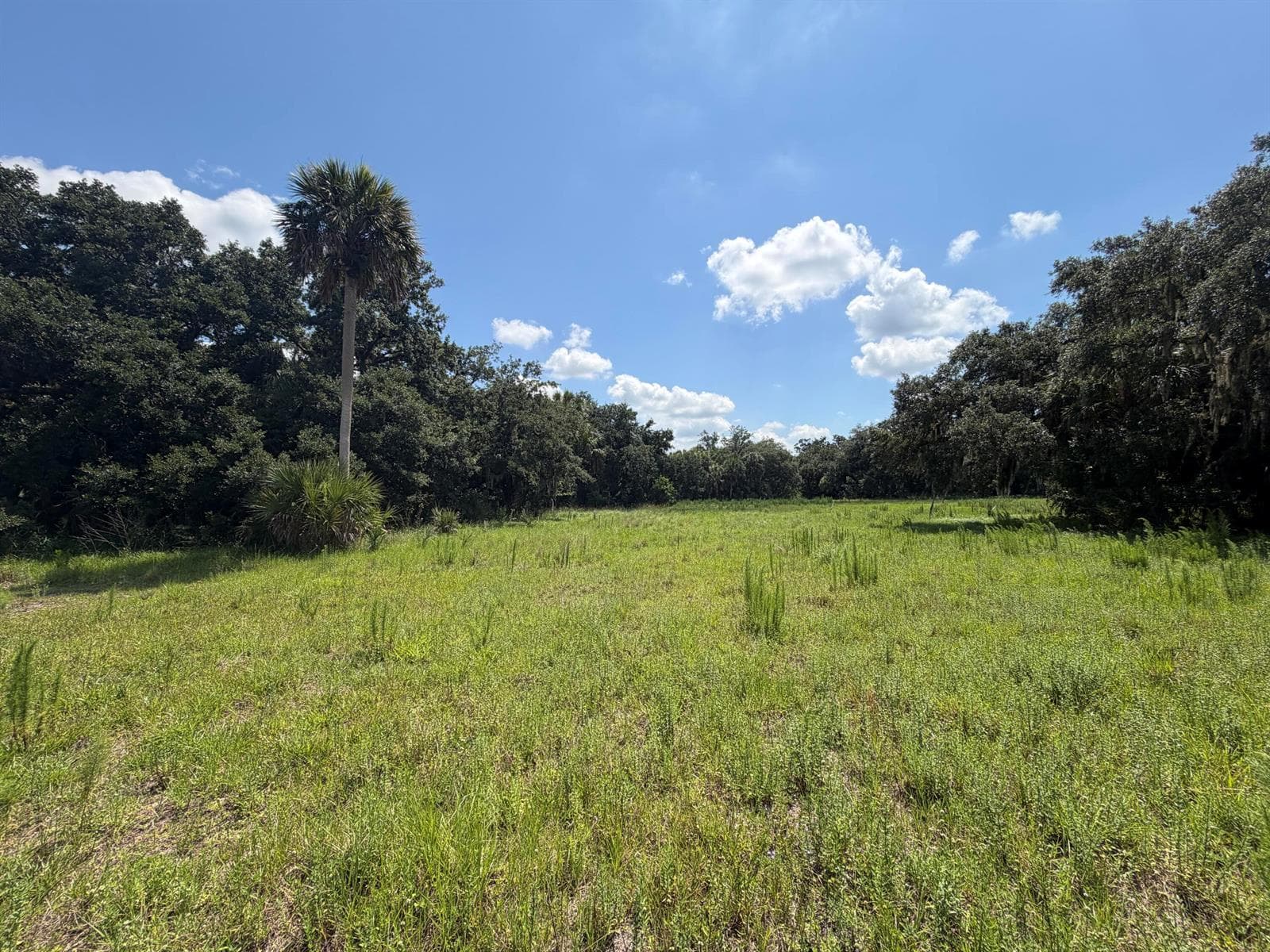 16477 NW 192nd Street, Okeechobee, FL 34972 photo 3