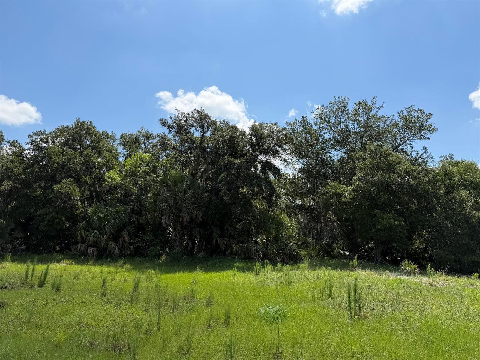 16477 NW 192nd Street, Okeechobee, FL 34972 photo 5