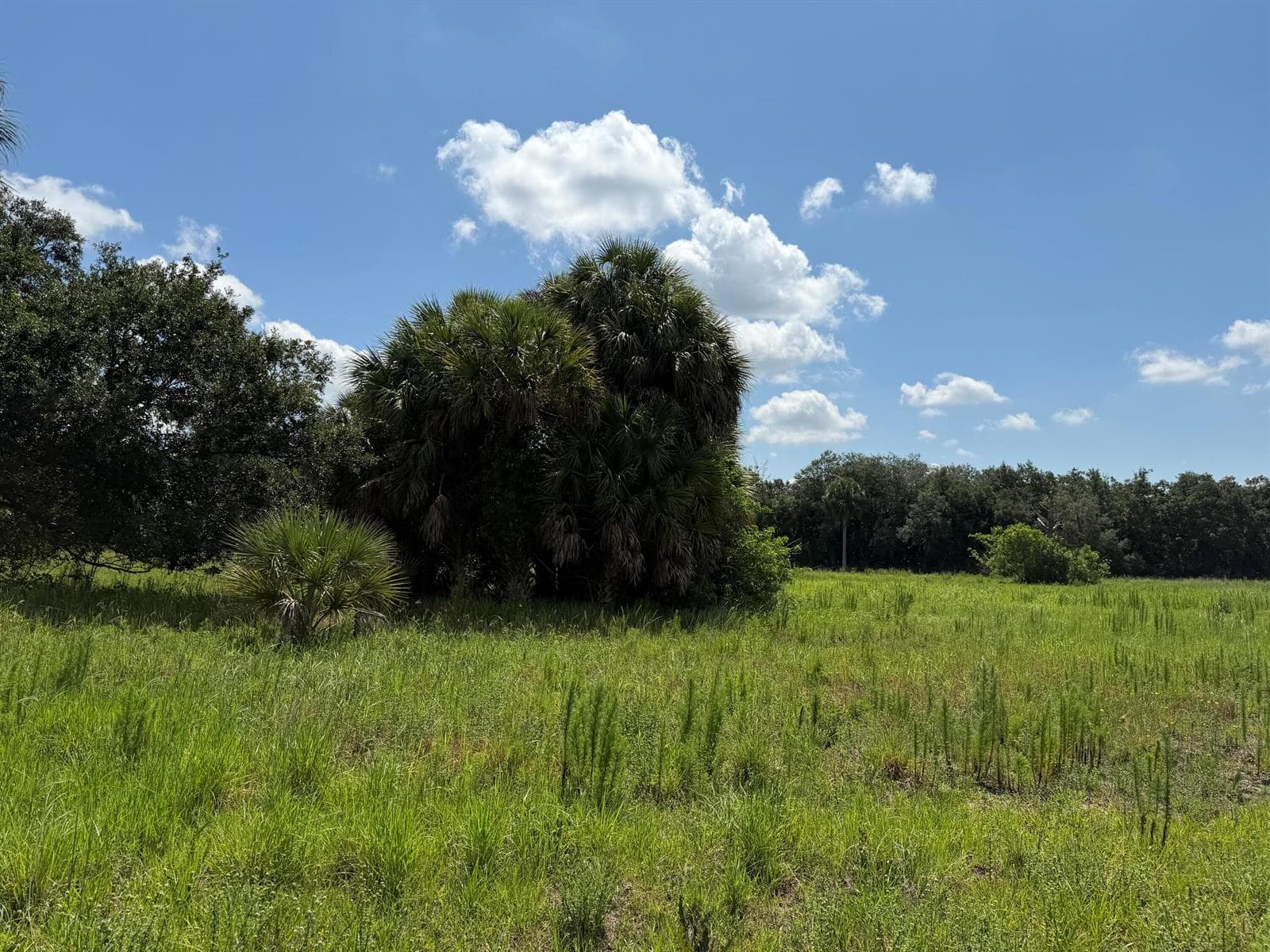 16477 NW 192nd Street, Okeechobee, FL 34972 photo 4