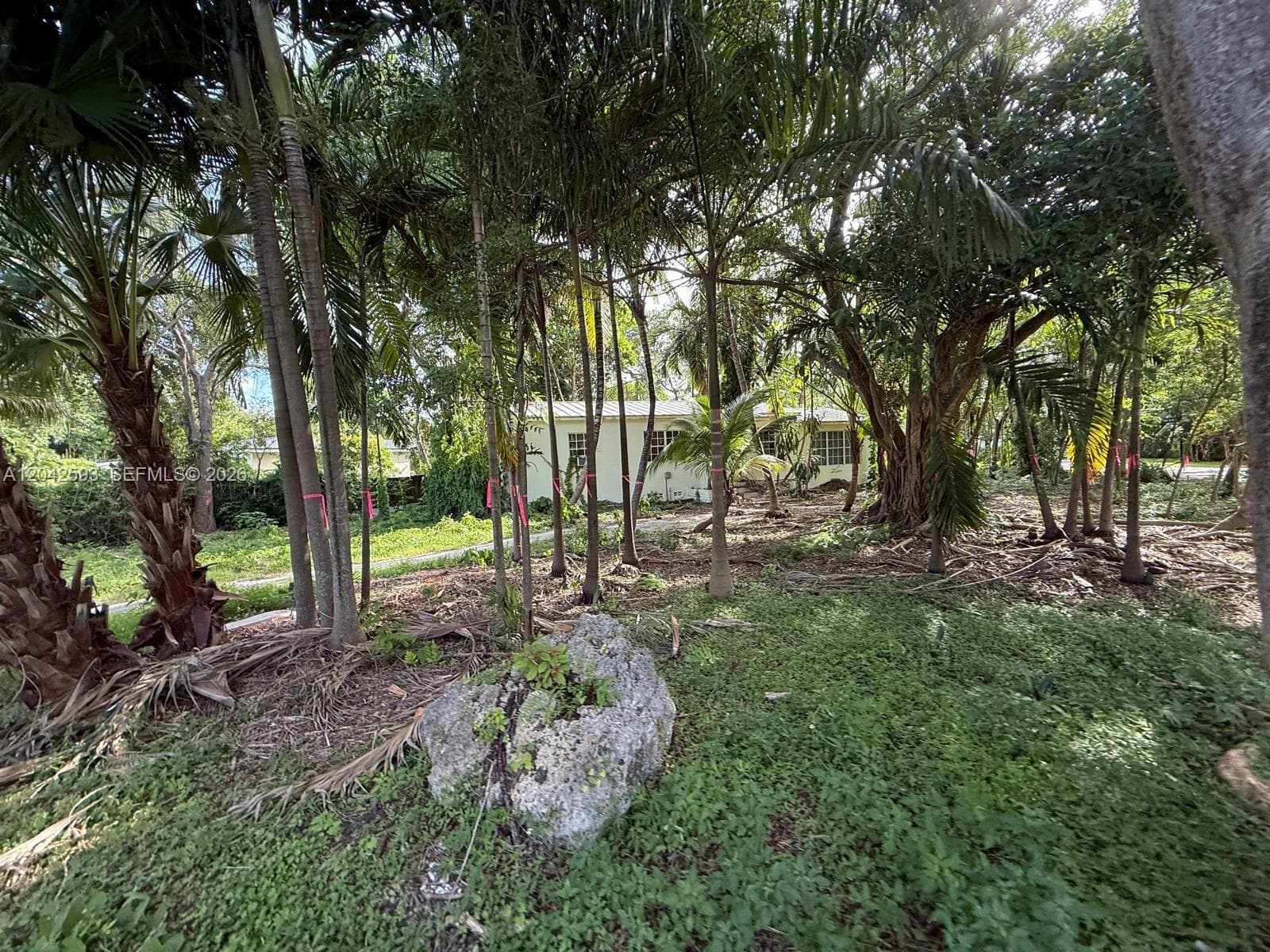 6600 SW 64th Ct, South Miami, FL 33143 photo 2