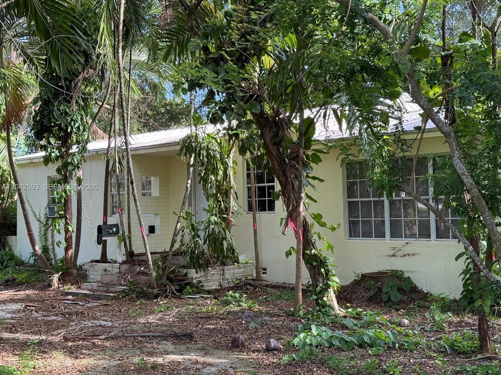 6600 SW 64th Ct, South Miami, FL 33143 photo 3