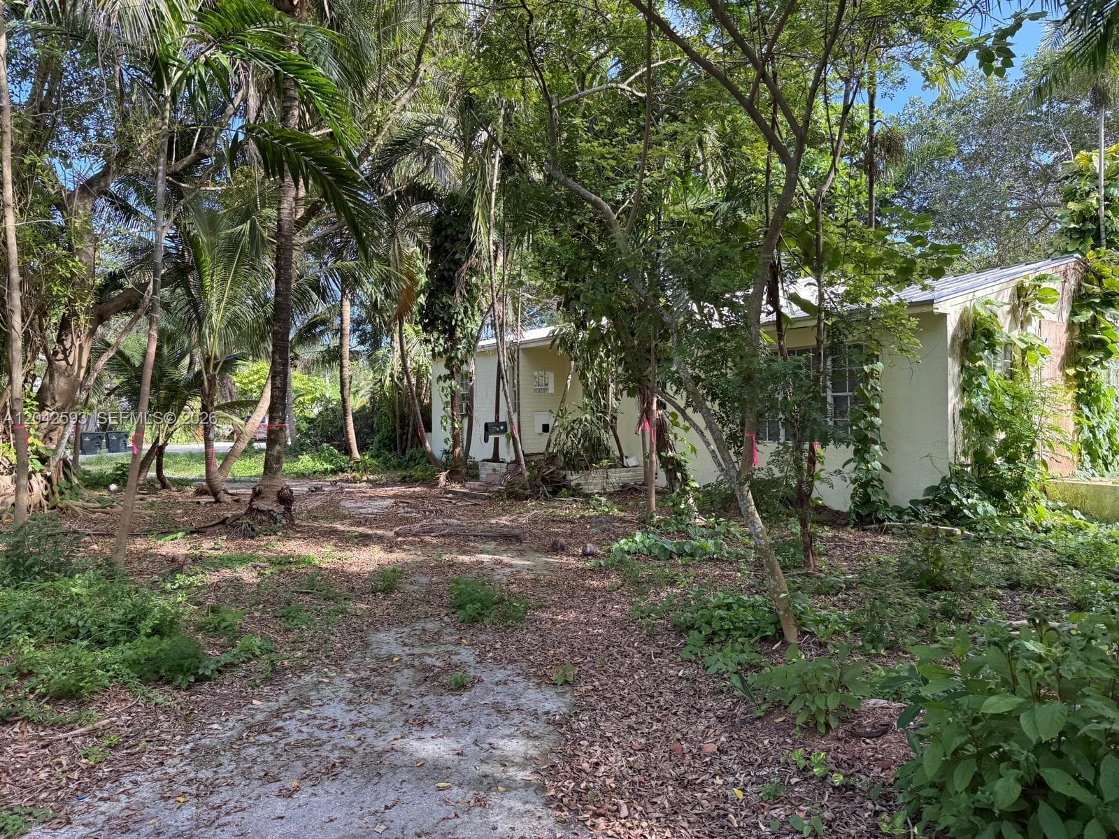 6600 SW 64th Ct, South Miami, FL 33143 photo 5