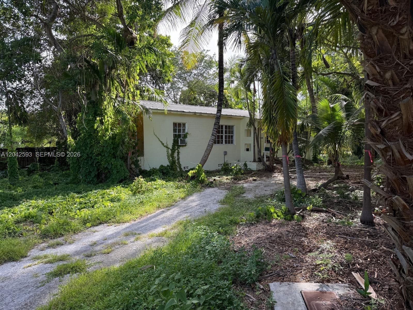 6600 SW 64th Ct, South Miami, FL 33143 photo 4