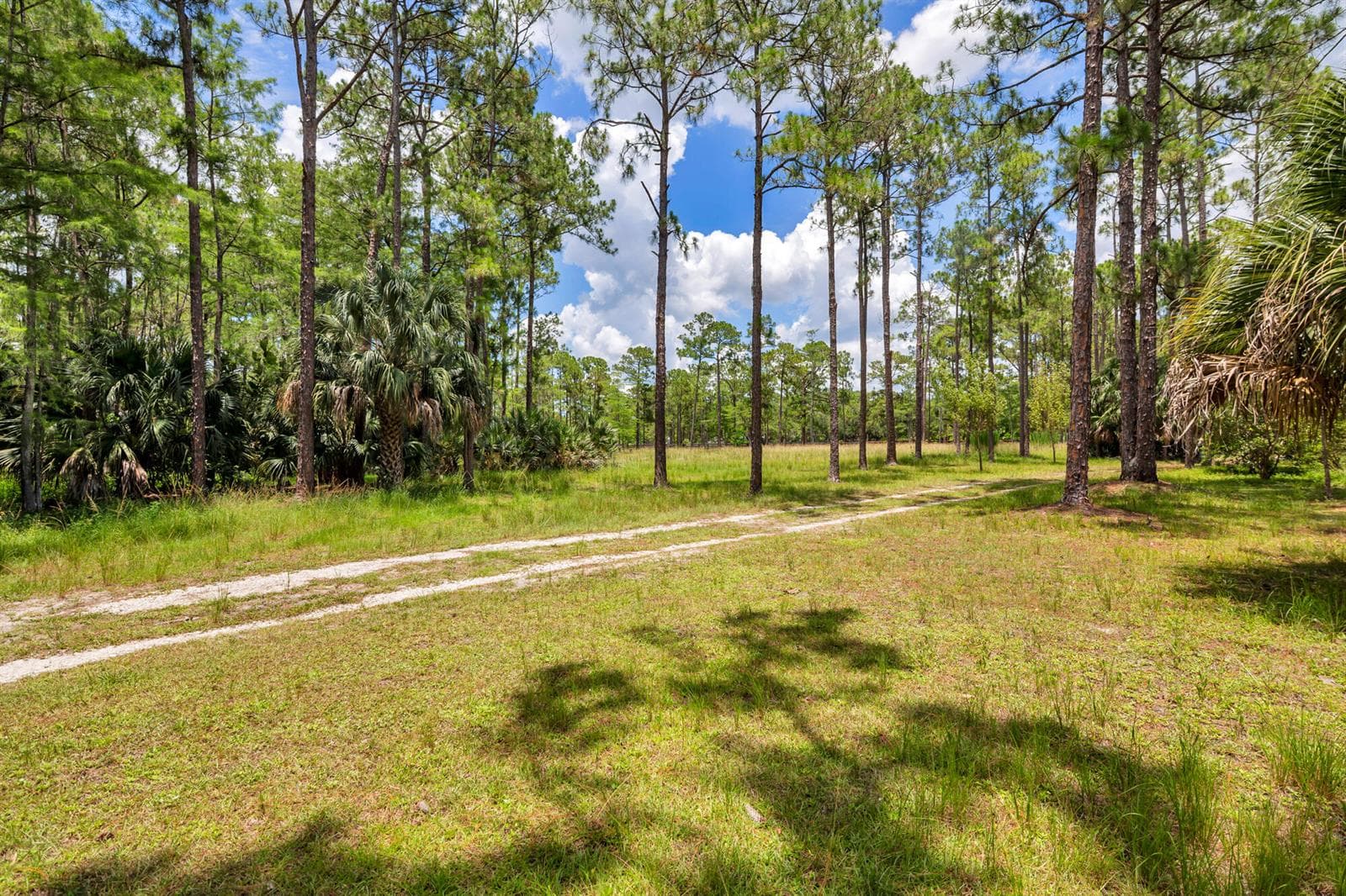 00000 Caloosa Boulevard, West Palm Beach, FL 33418 photo 3