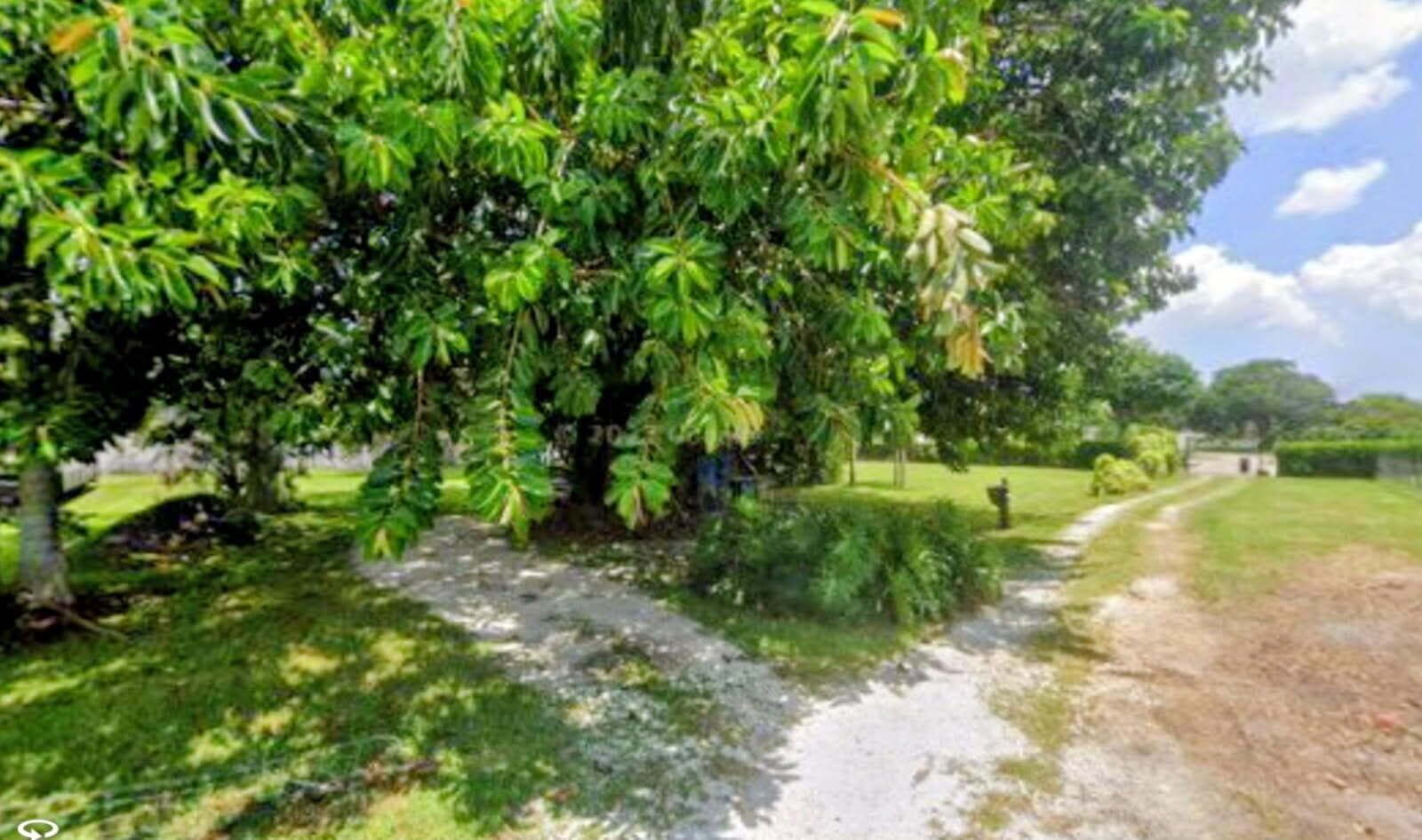 6955 SW 57th Street, Davie, FL 33314 photo 3