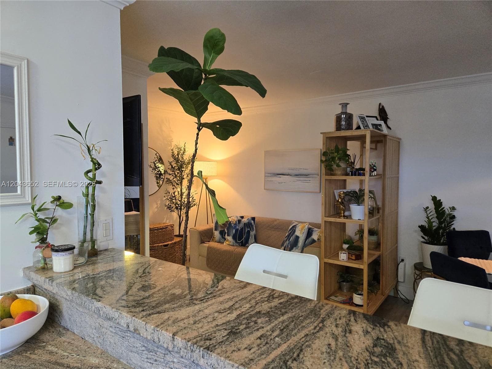 820 Salzedo St # 405, Coral Gables, FL 33134 photo 5