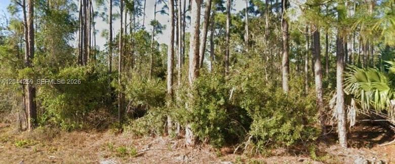 26442 Scham Rd, Punta Gorda, FL 33955