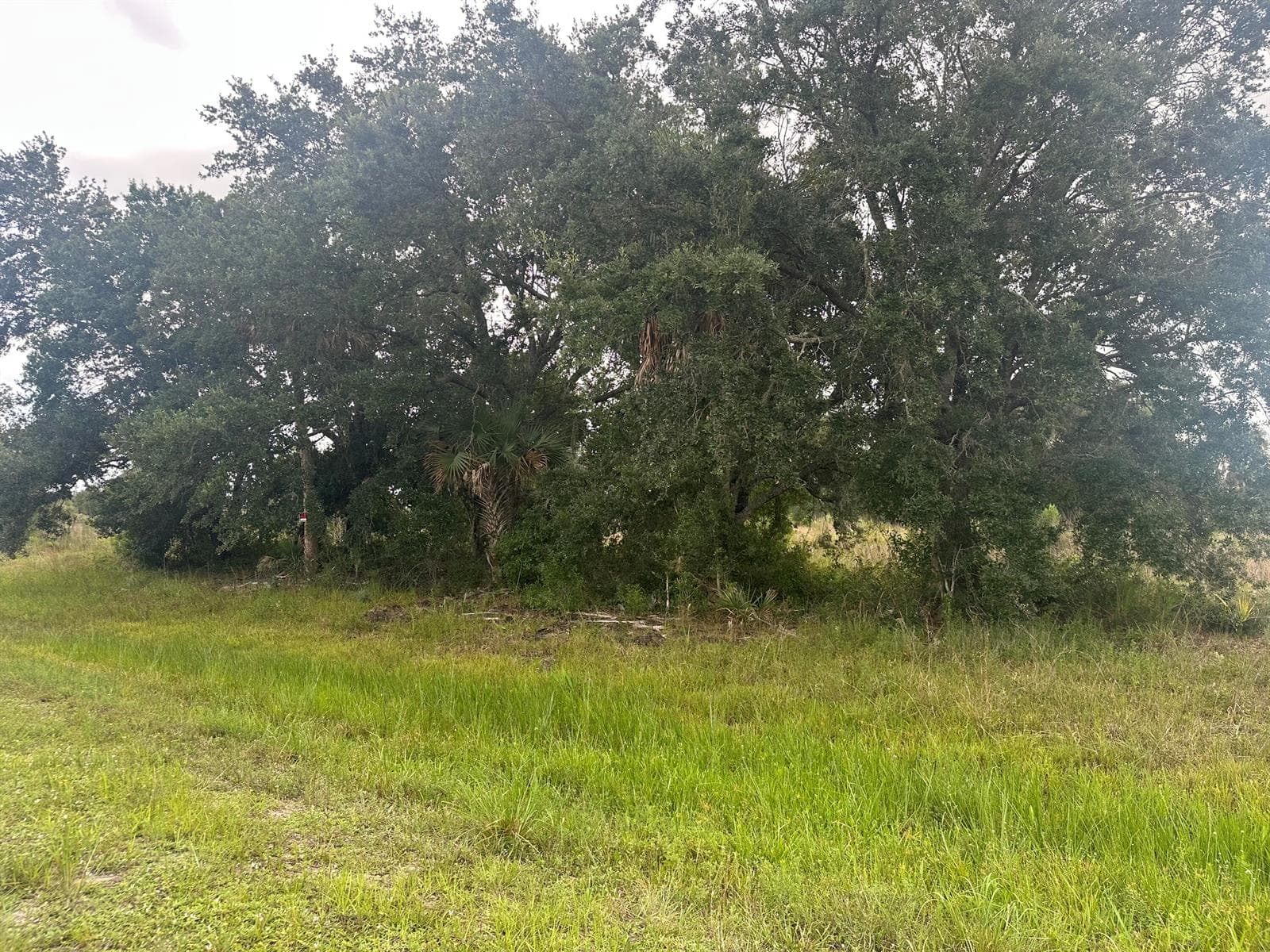 0 NW 313th Street NW, Okeechobee, FL 34972 photo 2