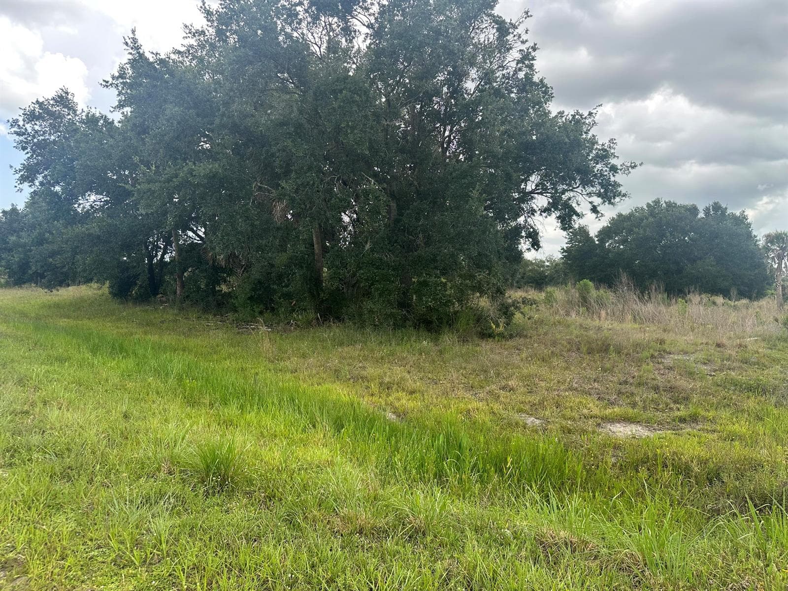 0 NW 313th Street NW, Okeechobee, FL 34972 photo 3