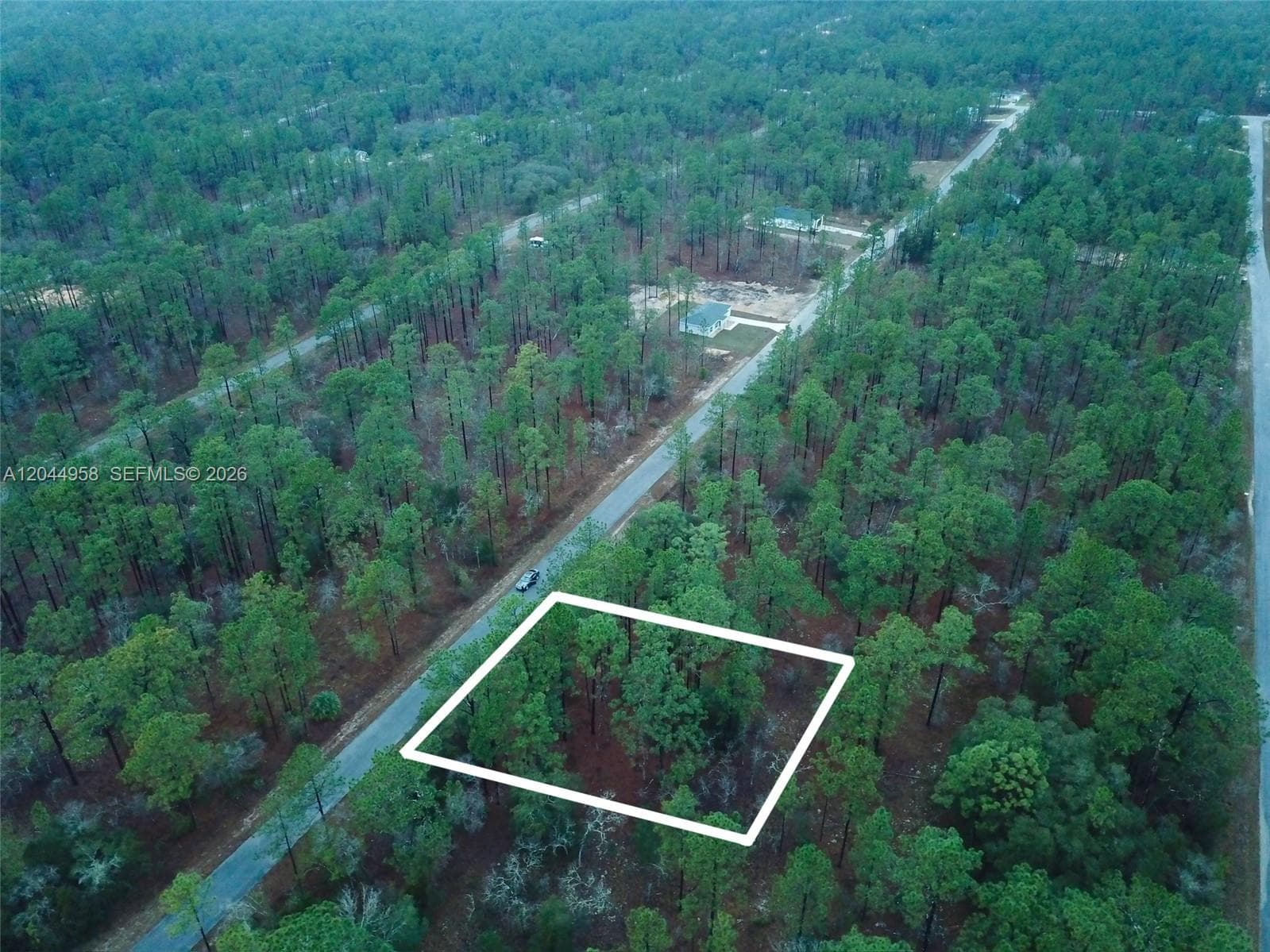 Lot Nearby Narcissus Rd, Other City - In The State Of Florida, FL 34431 photo 2