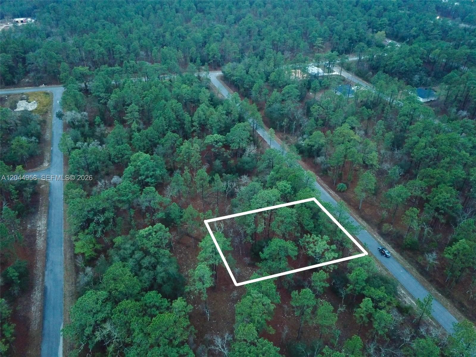 Lot Nearby Narcissus Rd, Other City - In The State Of Florida, FL 34431 photo 3