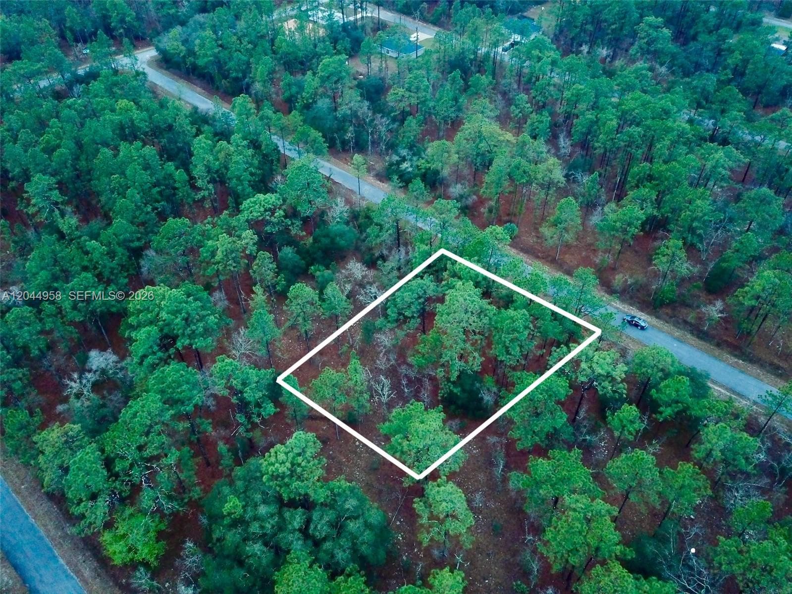 Lot Nearby Narcissus Rd, Other City - In The State Of Florida, FL 34431 photo 4