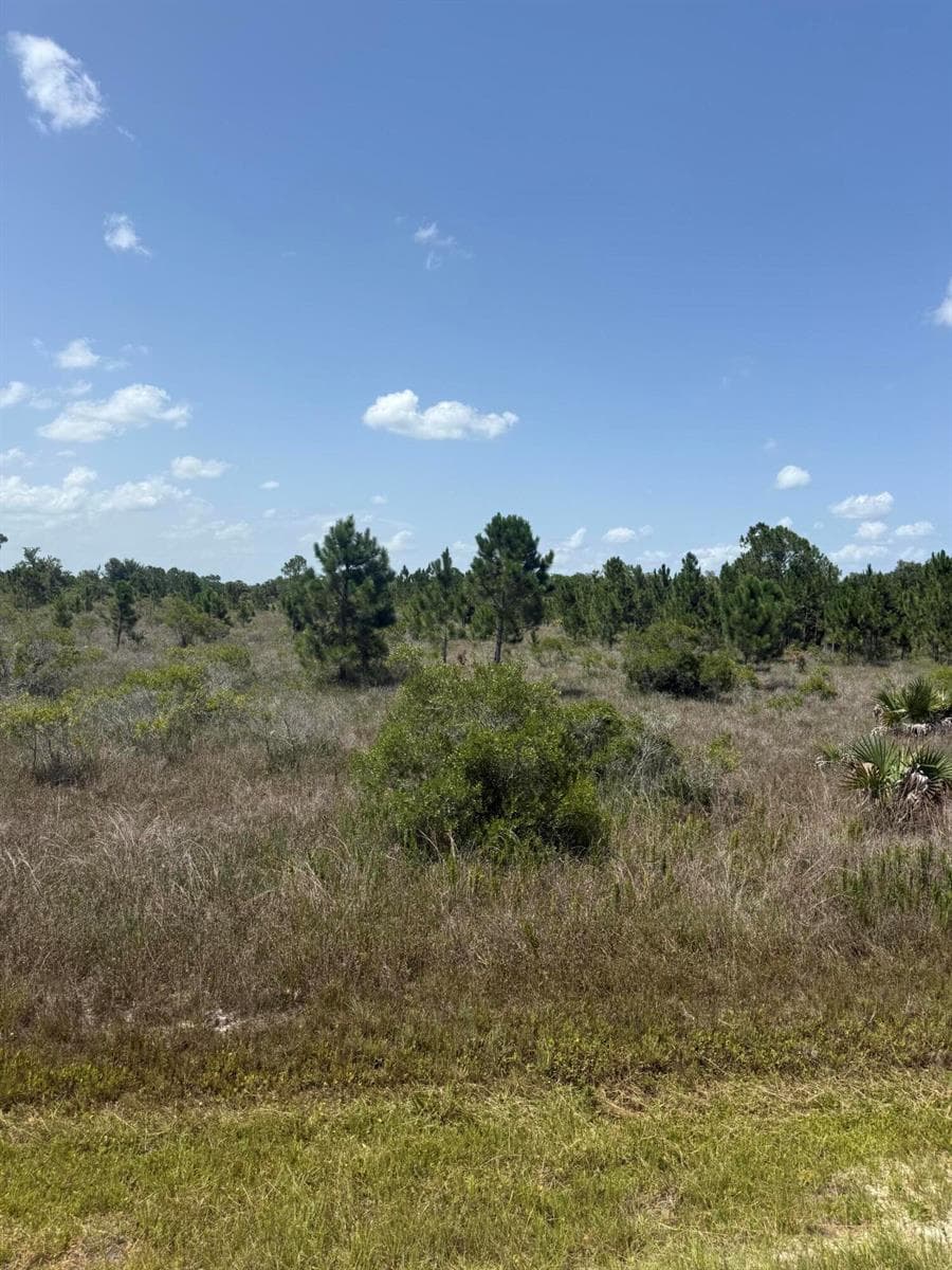 15463 NW 306th Street, Okeechobee, FL 34972 photo 2
