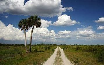 15463 NW 306th Street, Okeechobee, FL 34972 photo 5