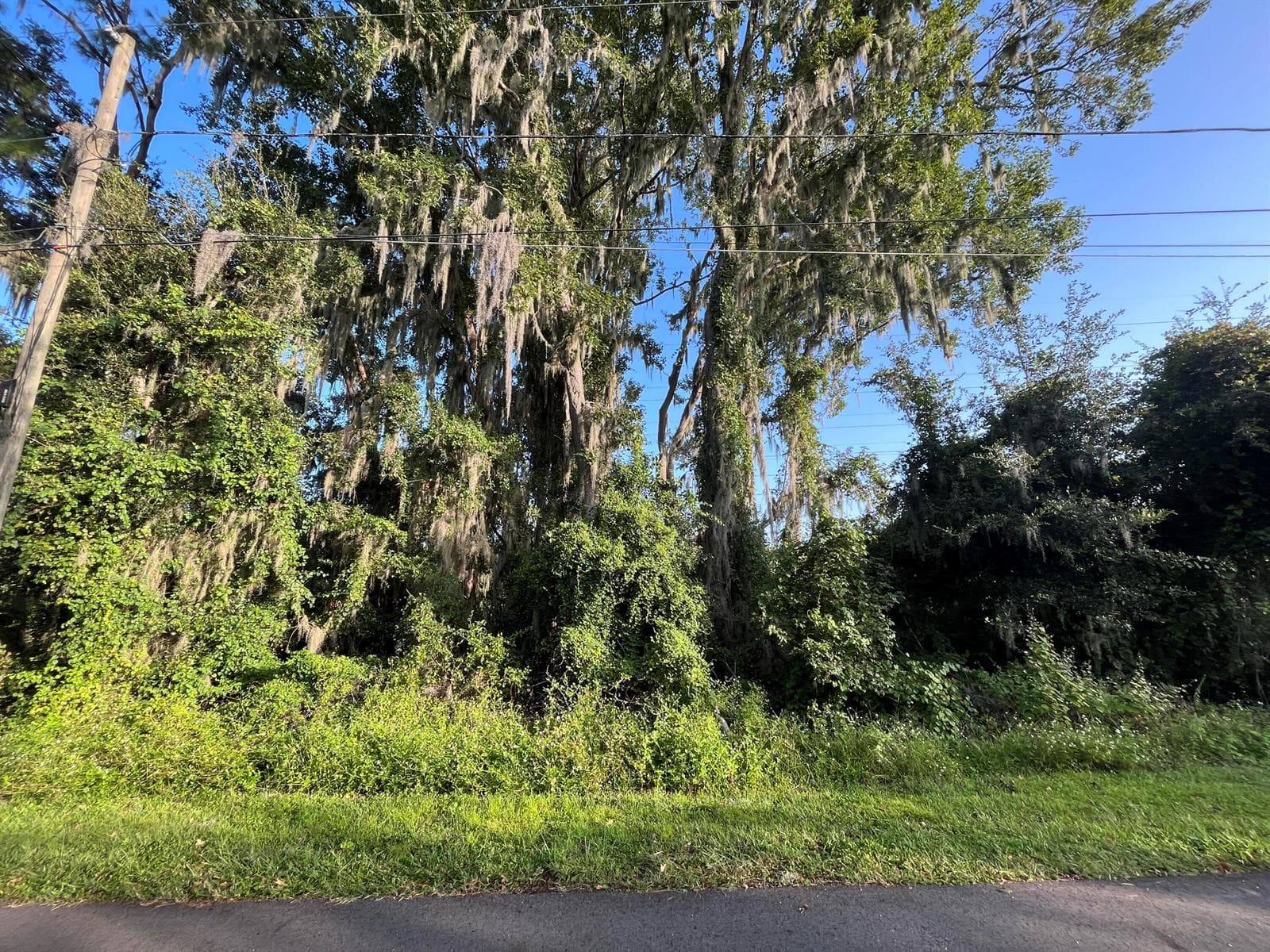 262 Toms Road, FL 32713 photo 2