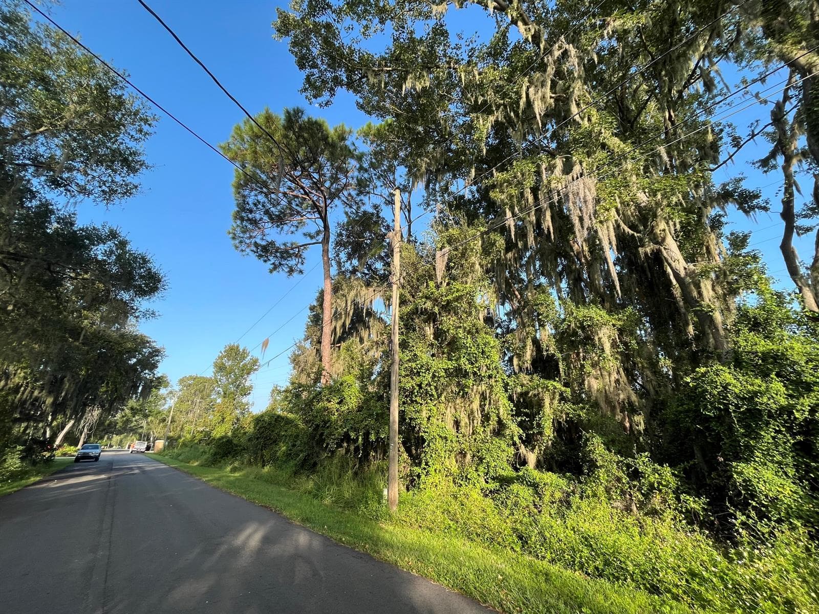 262 Toms Road, FL 32713 photo 3