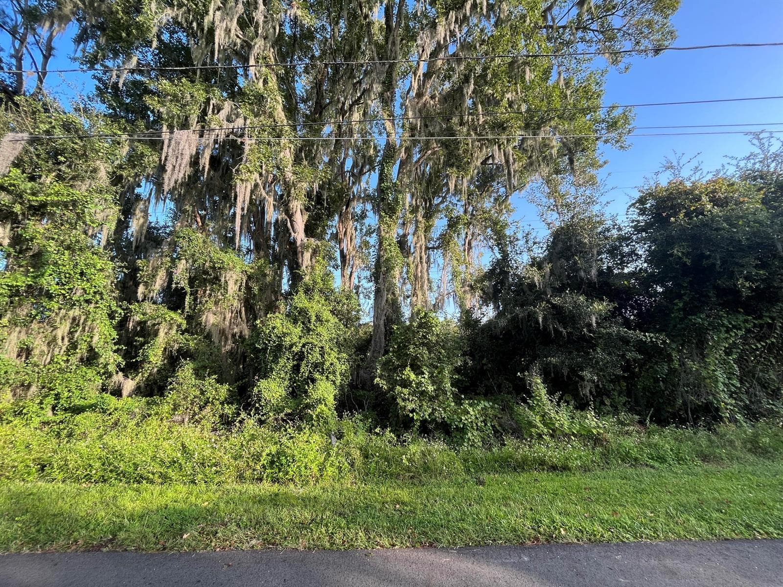 262 Toms Road, FL 32713