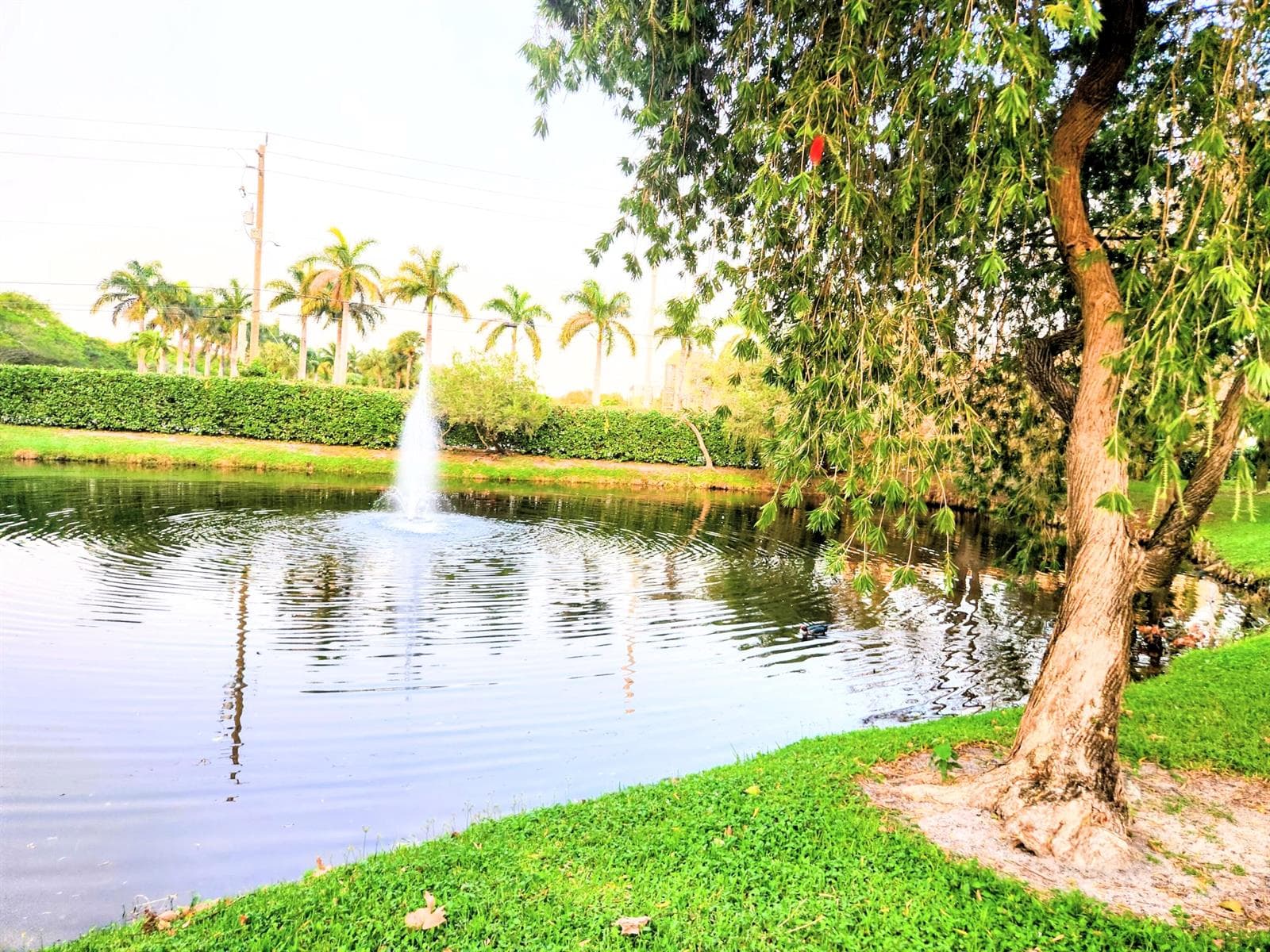 1020 Crystal Way # C, Delray Beach, FL 33444 photo 5