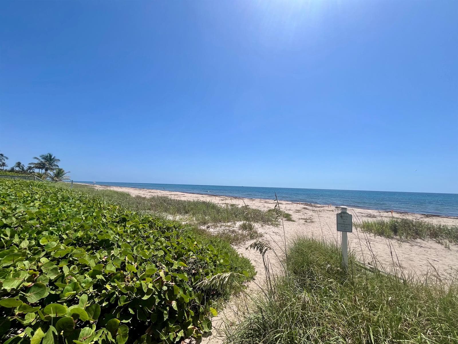 14 Tropical Drive, Ocean Ridge, FL 33435 photo 4