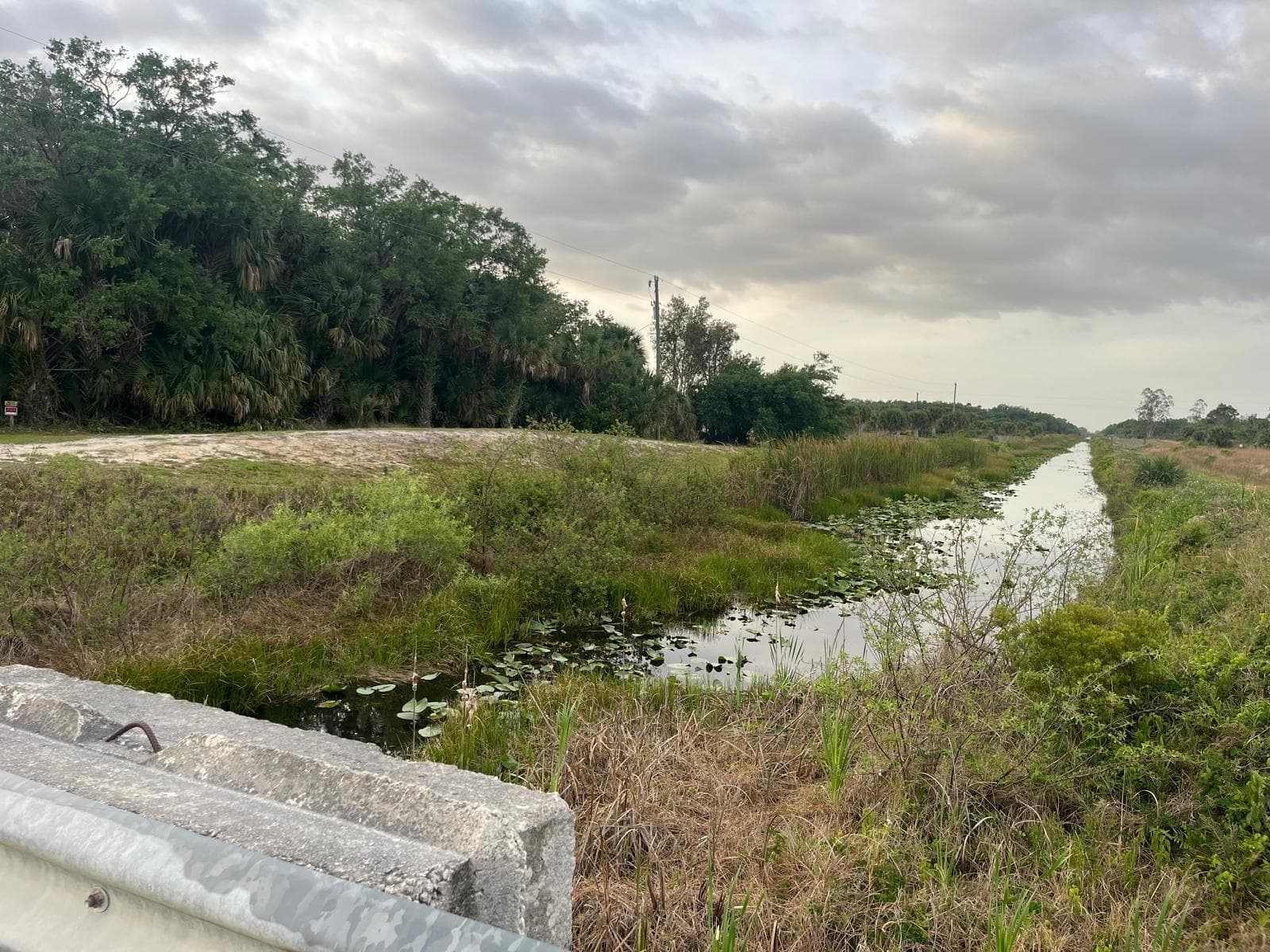 15148 NW 288th Street, Okeechobee, FL 34972 photo 5