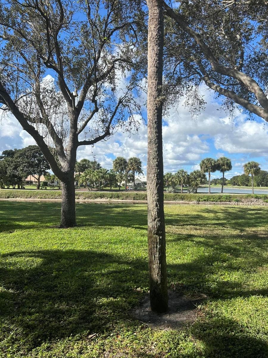 2900 SW 22nd Circle # 221d, Delray Beach, FL 33445 photo 4