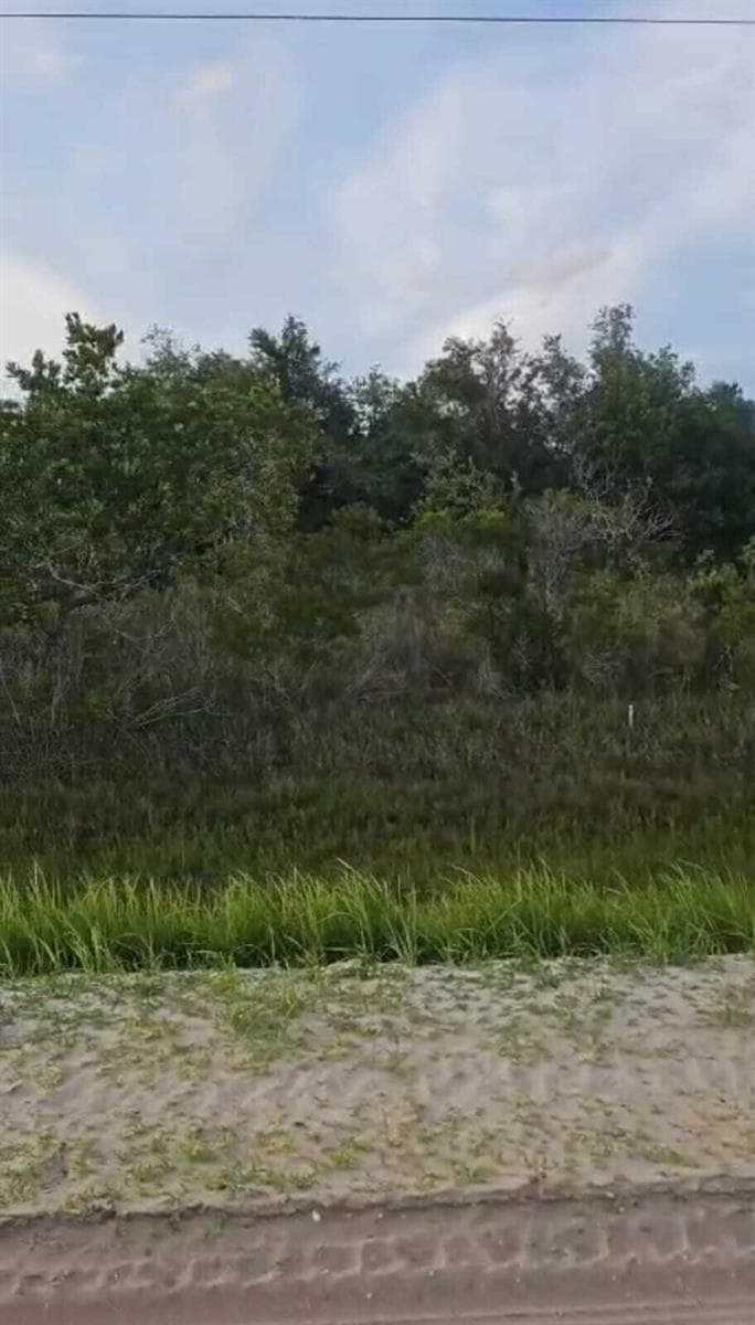 15775 NW 304th Street, Okeechobee, FL 34972 photo 3