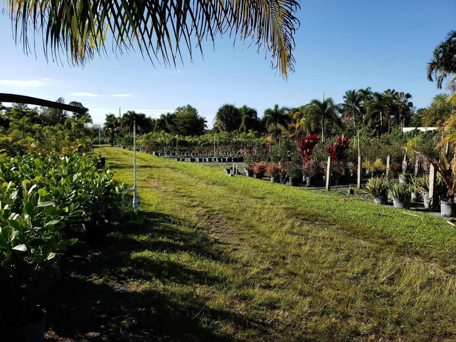 14375 Okeechobee Boulevard, FL 33470 photo 2