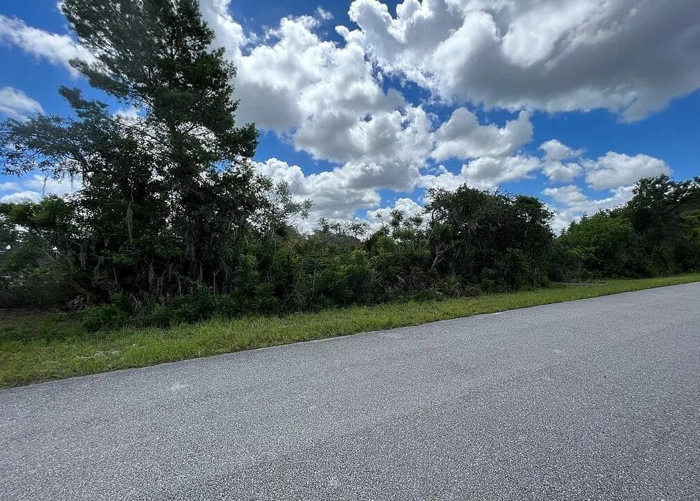 111 Marshall Avenue, Lake Placid, FL 33852 photo 2