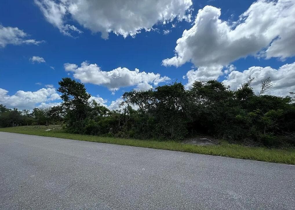 111 Marshall Avenue, Lake Placid, FL 33852 photo 3