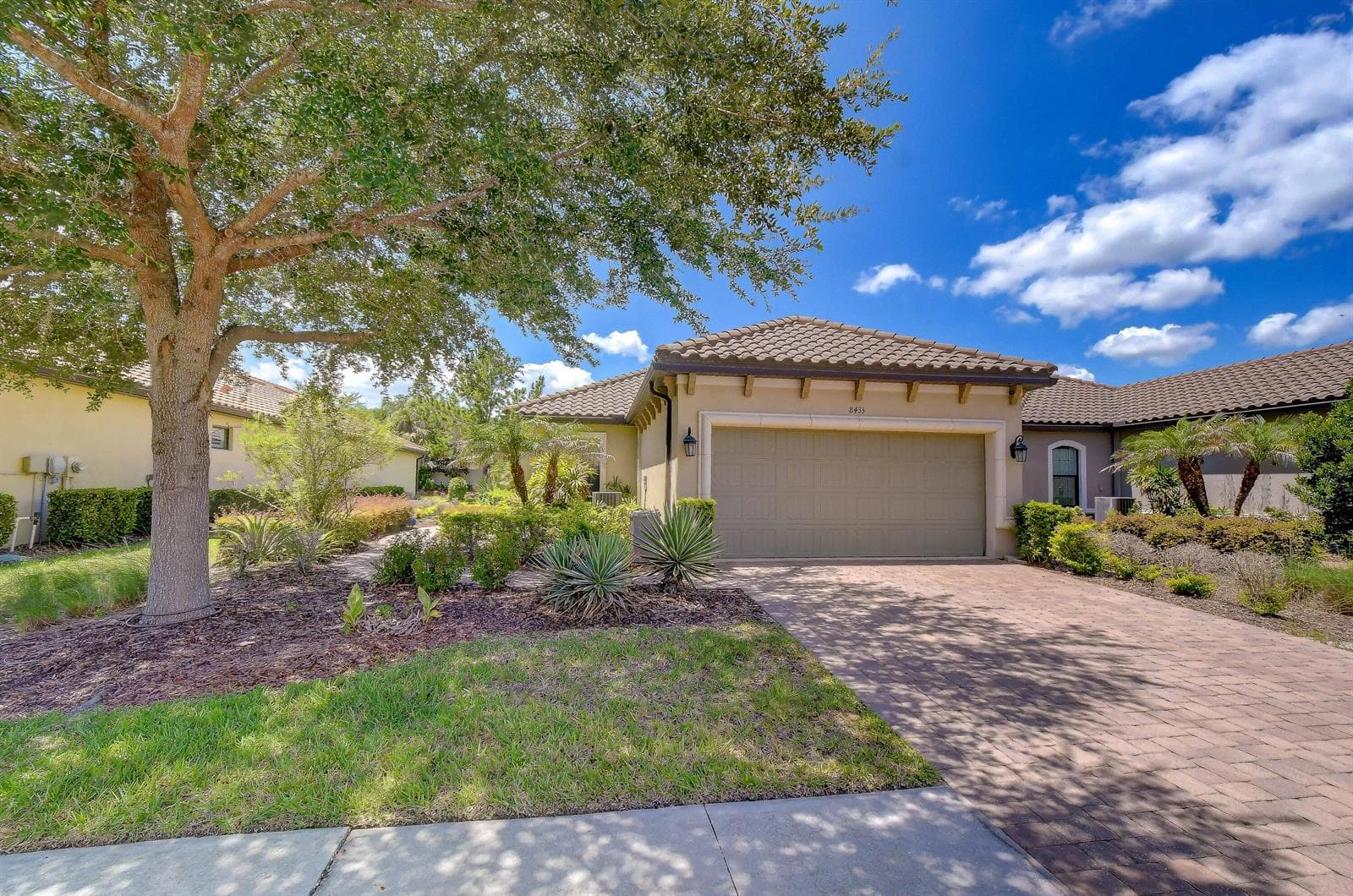 8433 Alberata Vista Drive, Tampa, FL 33647 photo 3