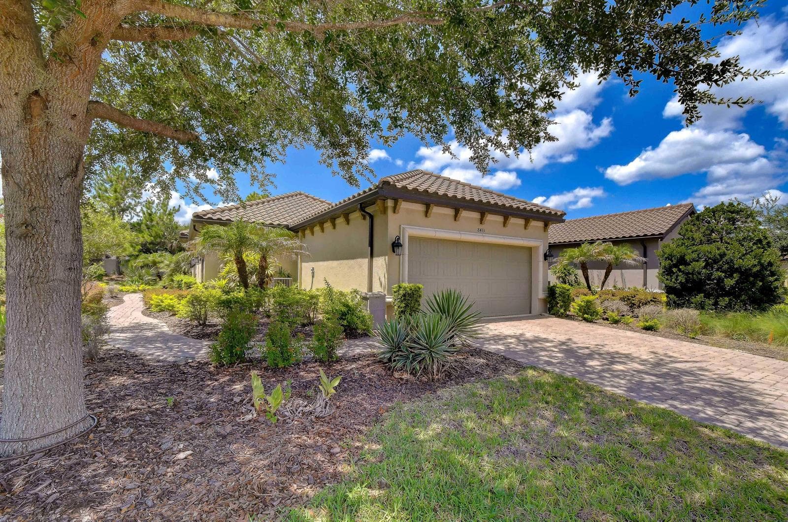 8433 Alberata Vista Drive, Tampa, FL 33647 photo 5