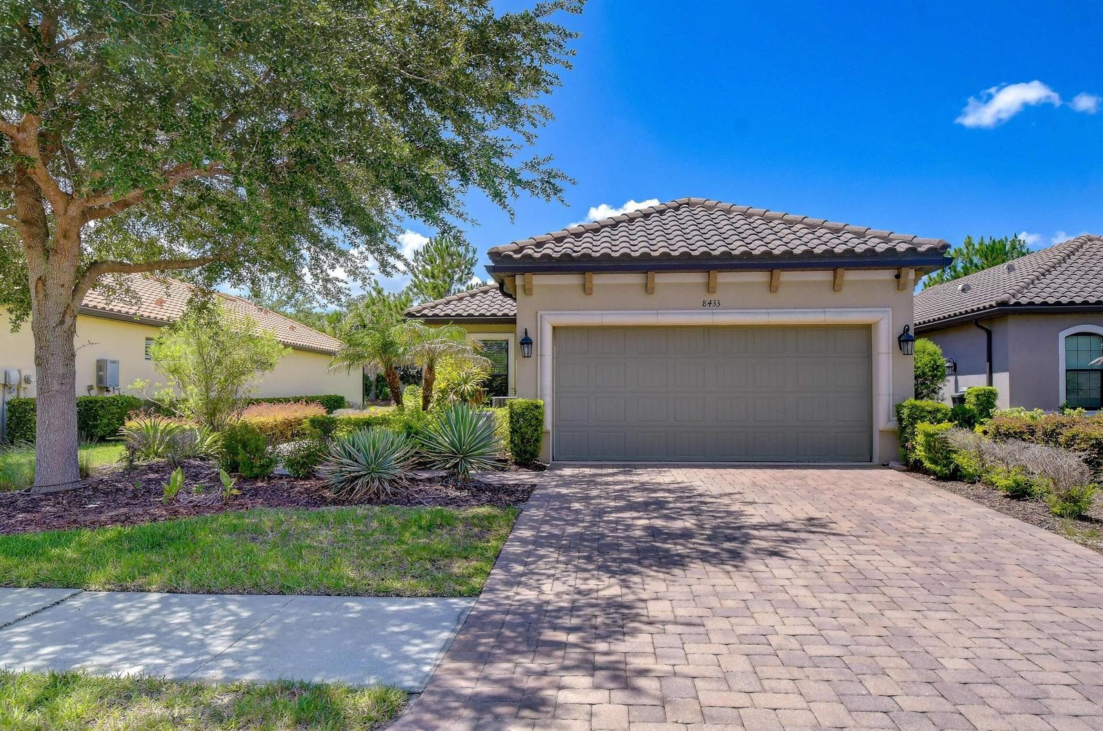 8433 Alberata Vista Drive, Tampa, FL 33647 photo 4