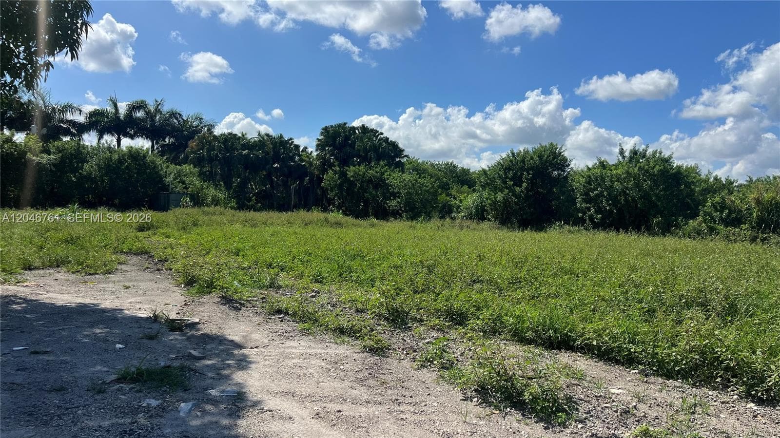 15820 SW 209th Ave, Miami, FL 33187 photo 3