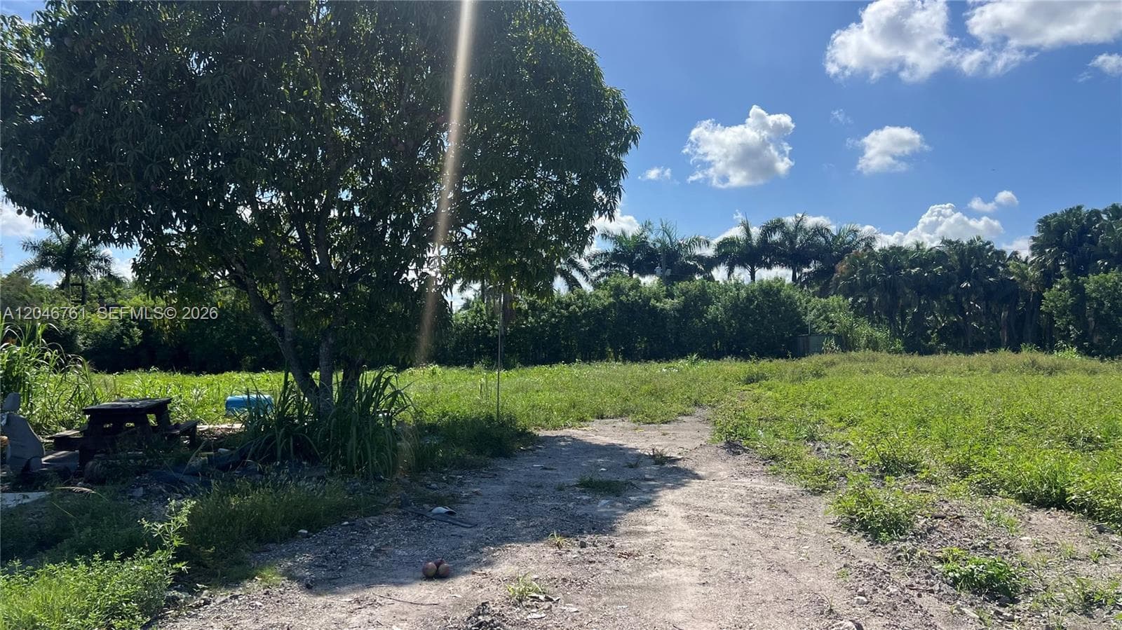 15820 SW 209th Ave, Miami, FL 33187 photo 4
