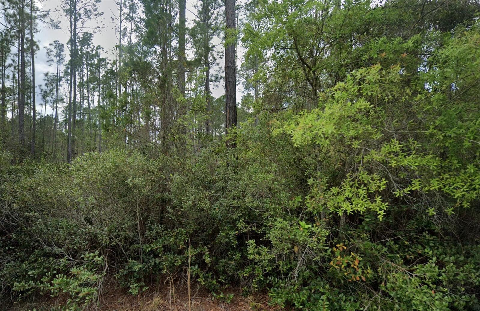 105 Glenside Street, FL 32139