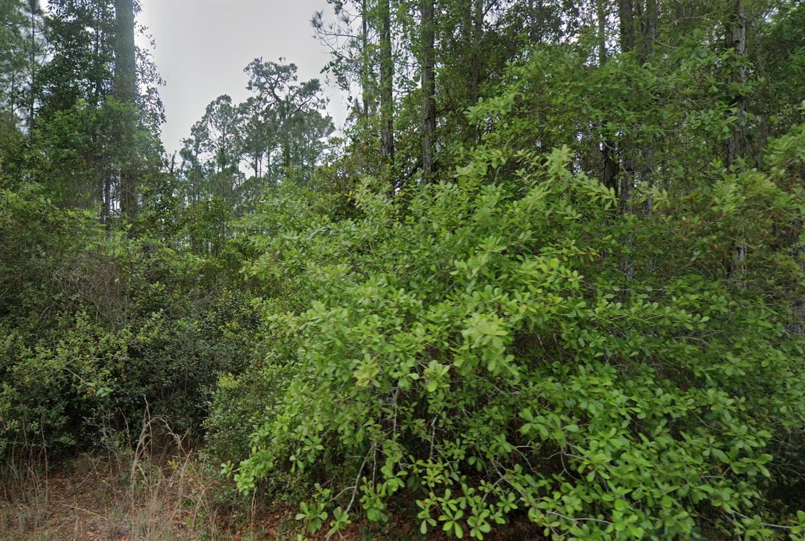 107 Glenside Street, FL 32139