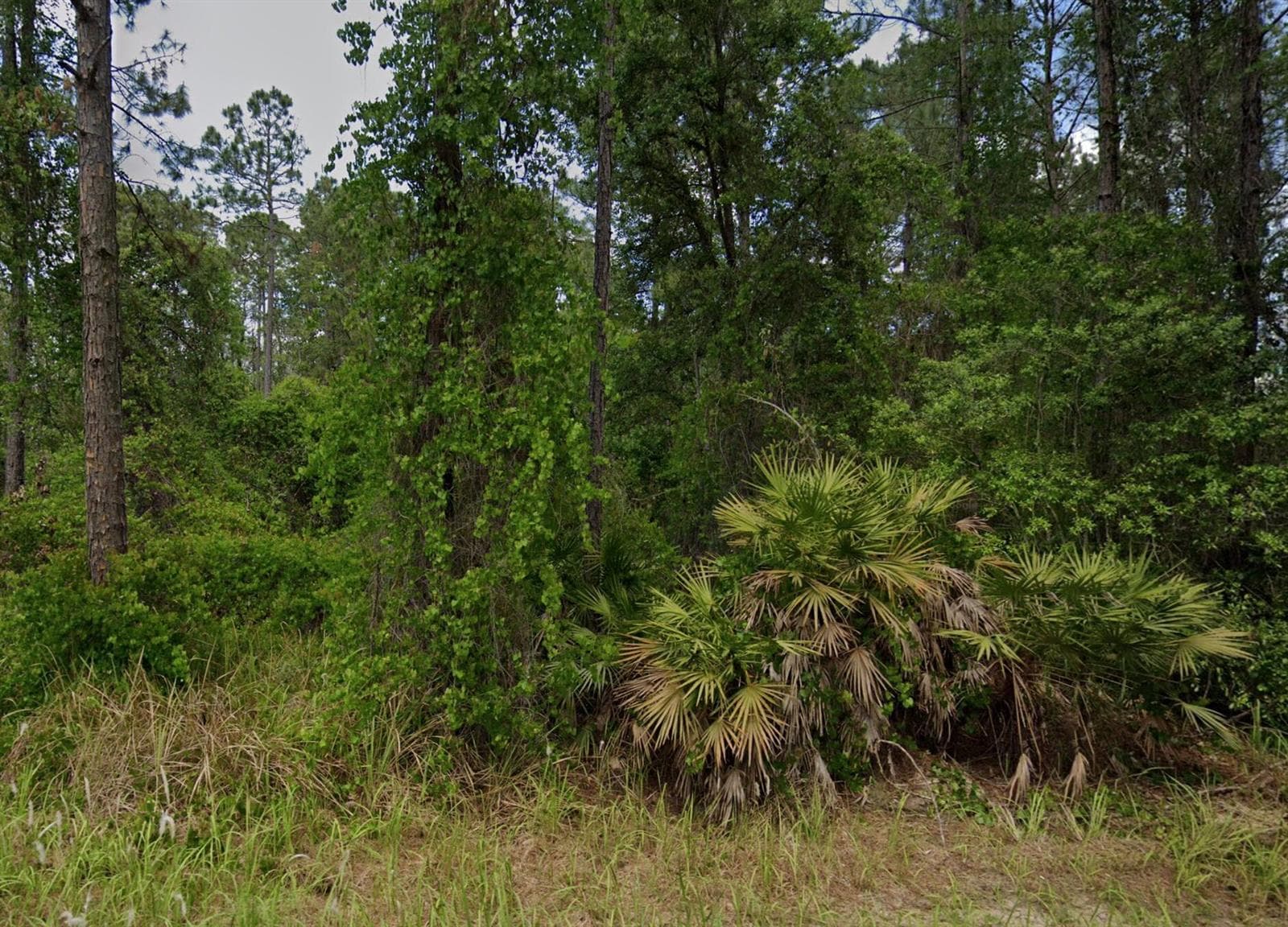 138 Pine Tree Drive, Palatka, FL 32177 photo 2