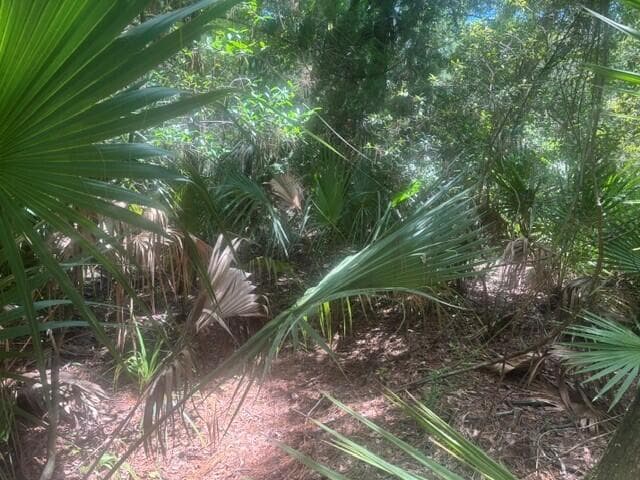0 Ave O Avenue, Ormond Beach, FL 32174 photo 2
