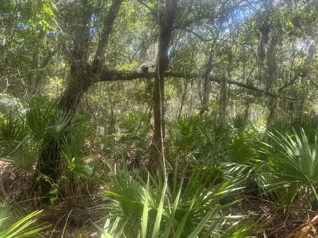 0 Ave O Avenue, Ormond Beach, FL 32174 photo 3