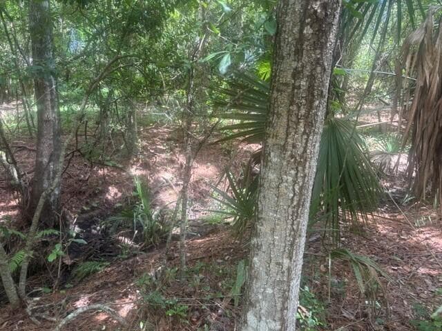0 Ave O Avenue, Ormond Beach, FL 32174