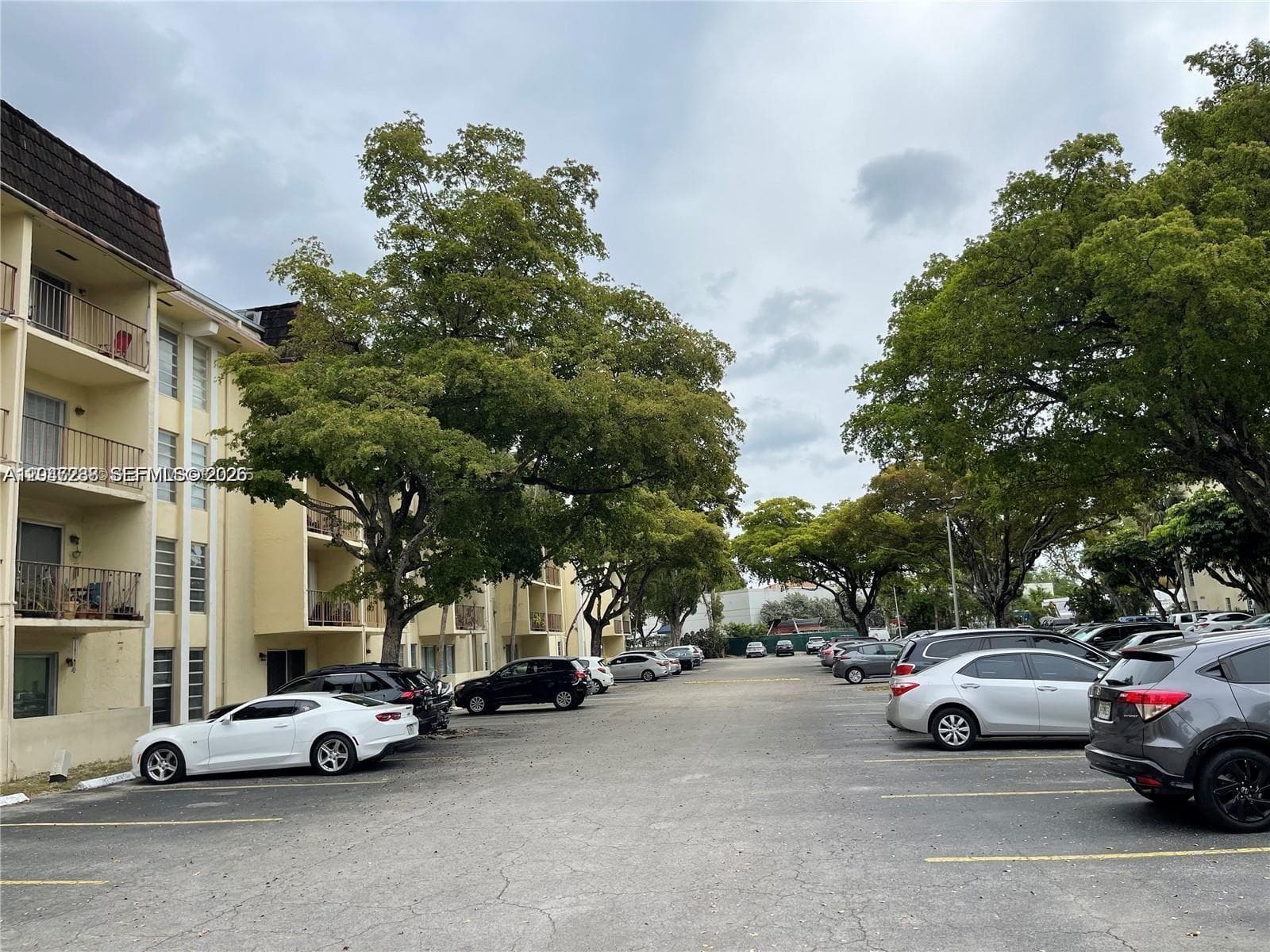 12035 NE 2nd Ave # A209, North Miami, FL 33161