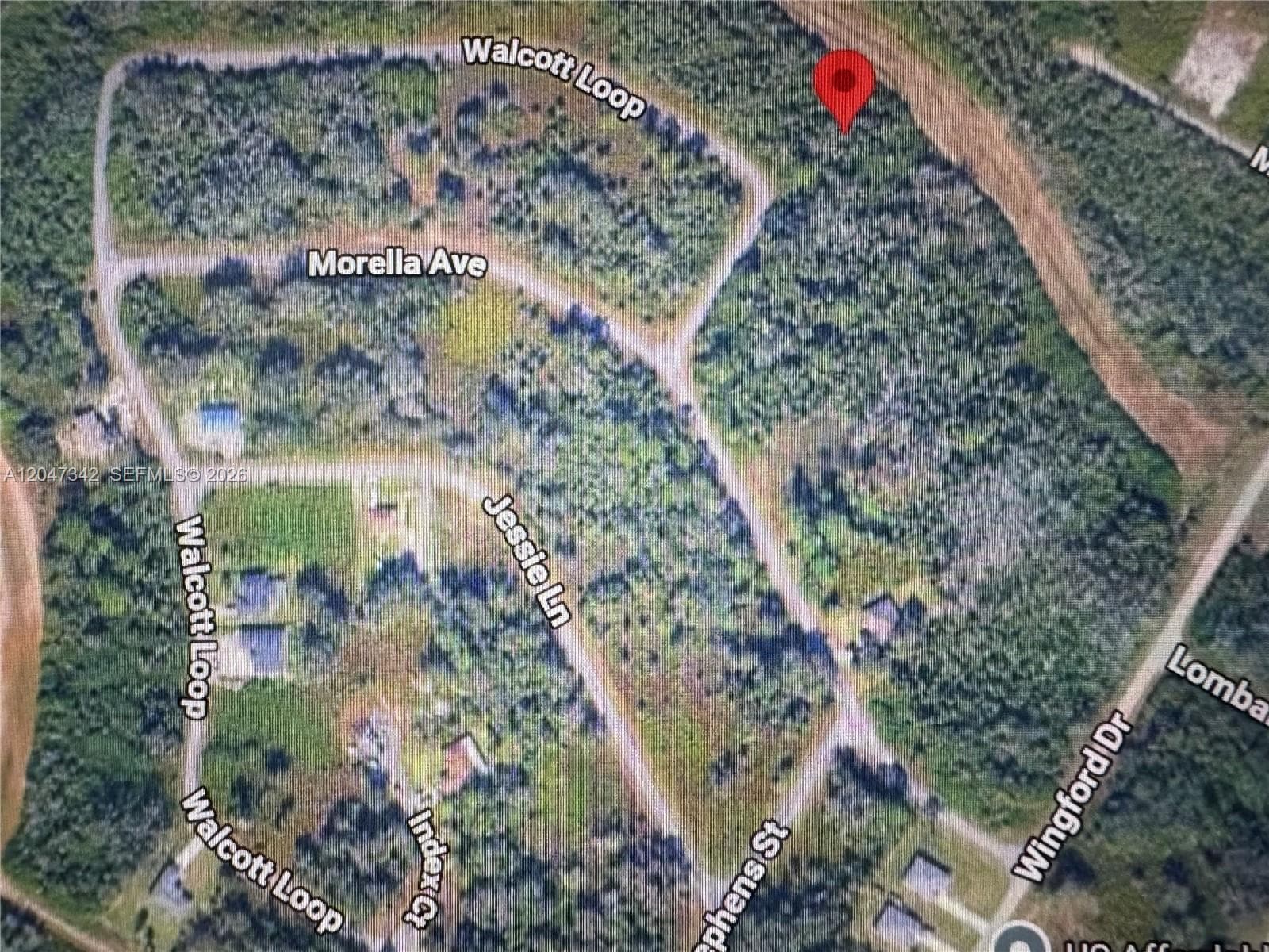 1991 WALCOTT LOOP, Lehigh Acres, FL 33972