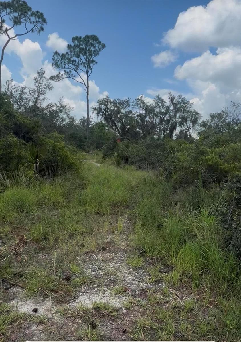 651 Mckinley Street, Lake Placid, FL 33852