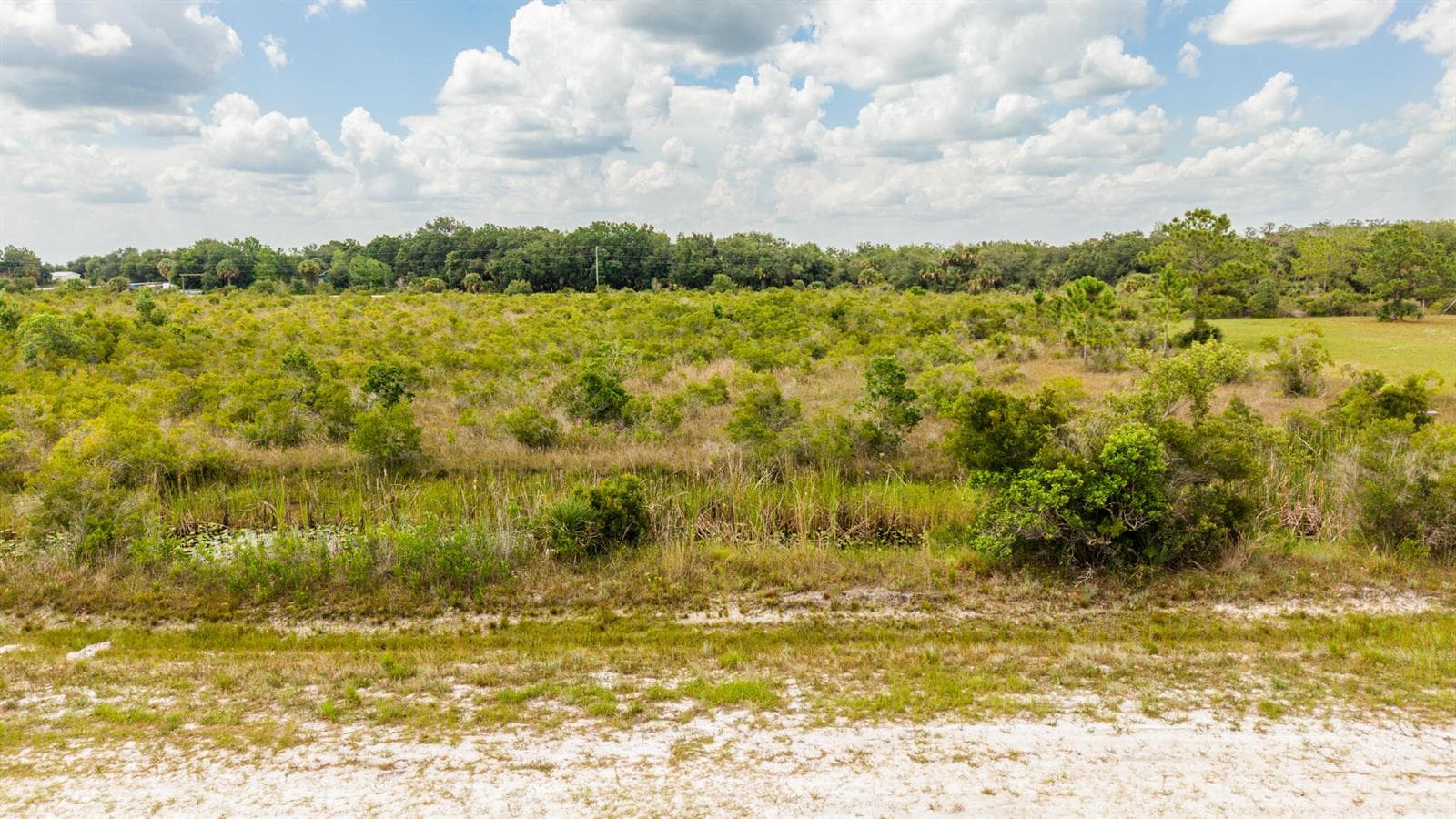 16841 NW 300th Street, Okeechobee, FL 34972 photo 3