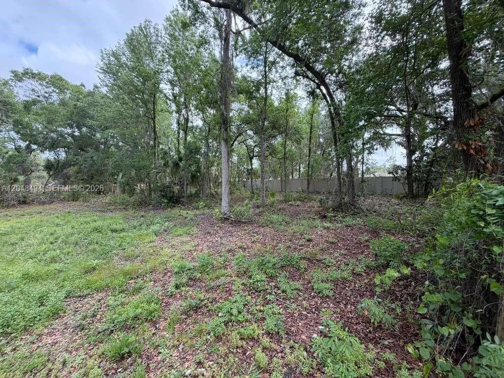 0 BAILEY RD, Other City - In The State Of Florida, FL 33860 photo 4