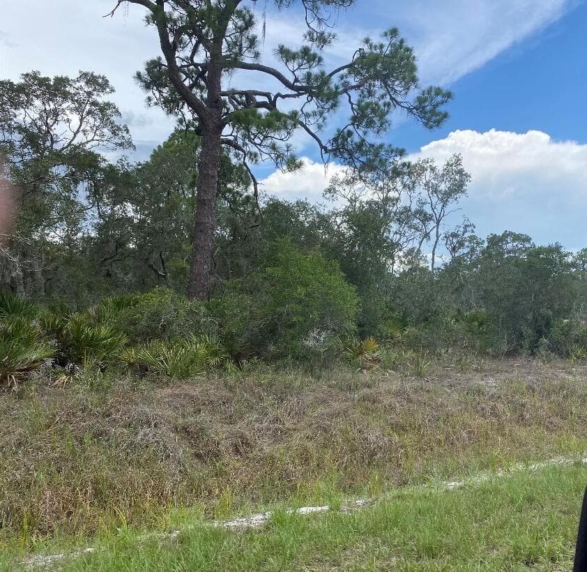 1002 Archie Summers Road, Lake Placid, FL 33852