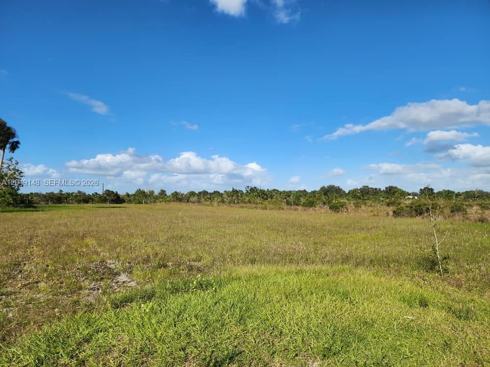 18717 NW 258 st, Okeechobee, FL 34972 photo 2