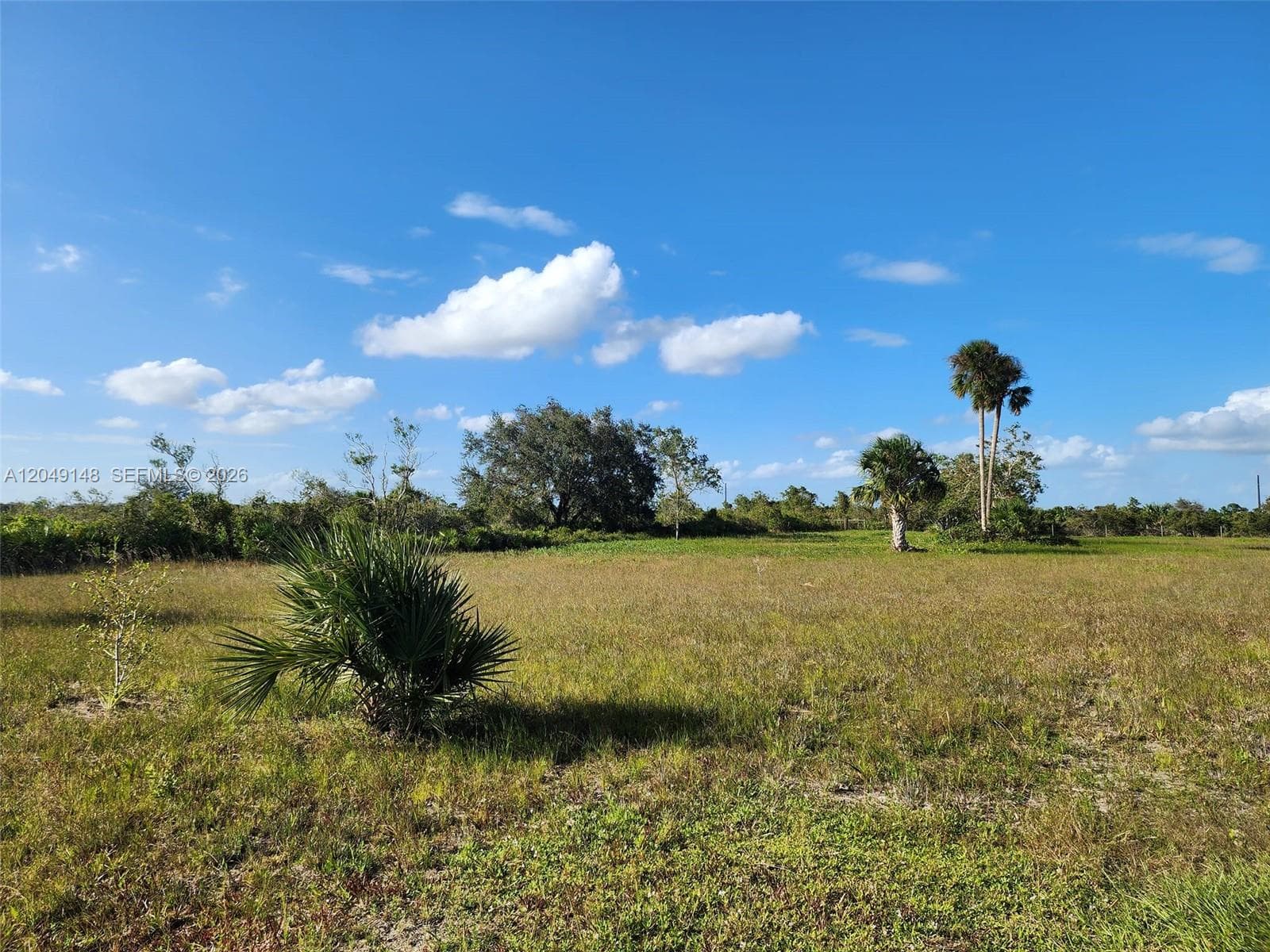 18717 NW 258 st, Okeechobee, FL 34972 photo 5